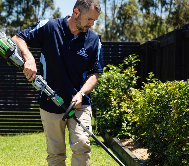 lawn mowing and edging service Logan Central