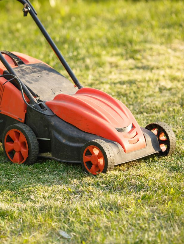 Ndis lawn online mowing